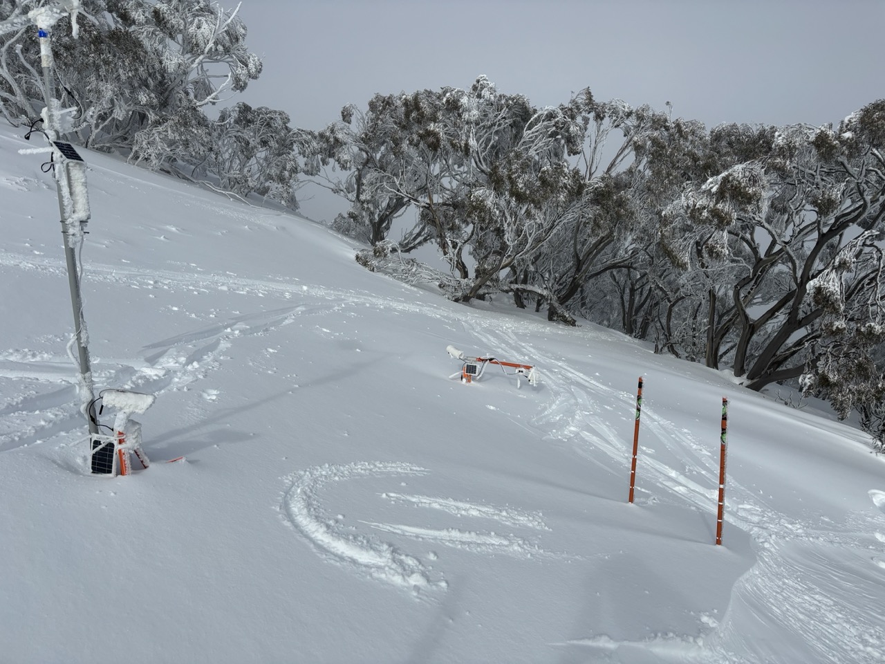 Women's Downhill