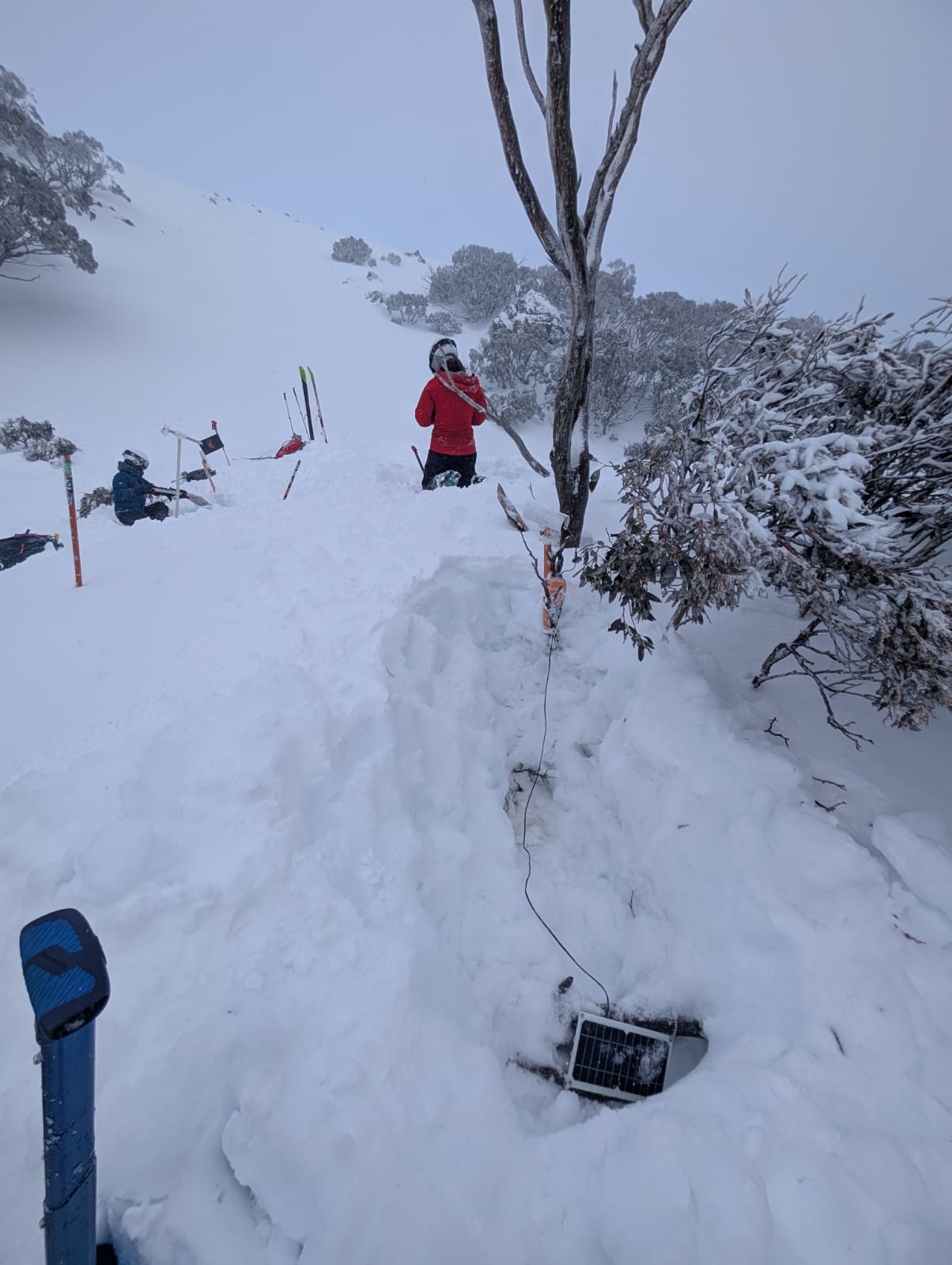 Blizzard